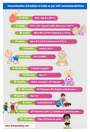 30 Free Immunization Vaccination Schedule Charts Word Pdf