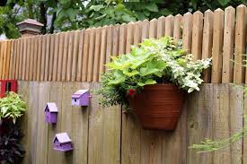 How To Get A Little Extra Privacy Above A Fence Gardening Q A With George Weigel Fence Planters Fence Plants Privacy Fence Designs
