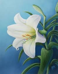 Maybe you would like to learn more about one of these? Easter Lily By Barbara Ann Robertson Flower Art Painting Lily Painting Lilies Drawing