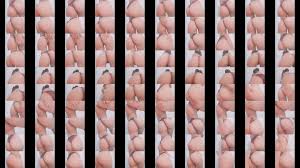 Karol se desnuda para mi - XNXX.COM