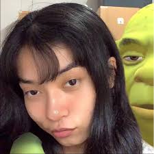 Why are the walkthroughs unavailable?