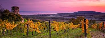 Последние твиты от balaton zeitung (@balatonzeitung). Balaton Am Plattensee In Ungarn Familienurlaub Fur Kleines Geld