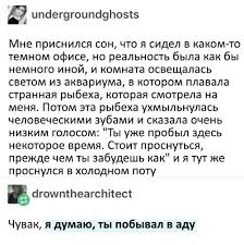 pin ot polzovatelya meri na doske istorii smeshnye shutki smeshno shutki