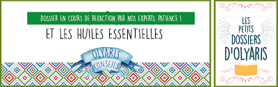 C'est pourquoi il est préférable d'utiliser l'aérosol au pyrèthre en parallèle des huiles essentielles notamment. Repulsif Anti Punaises De Lit Les Huiles Essentielles A Utiliser Olyaris