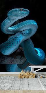 Check spelling or type a new query. Snake At Night Wallpaper In 2021 Snake Wallpaper Cute Reptiles Snake