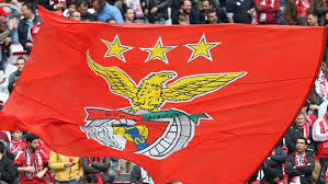 Resultado de imagem para Benfica clube fotos
