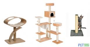 Distinguished by the clean and roomy lodgings with their. 15 Of The Best Cat Trees Scratching Posts Petmoneysaver