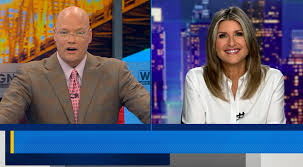 Aug 26, 2020 · 34 reviews of banfield pet hospital i'm honestly surprised by so many negative reviews. Ashleigh Banfield Promises Talk Show Not A Shout Show Wgno