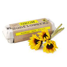 Grow A Dramatic Mix Of Sunflowers With This Easy Diy Kit That Includes Six Different Heirloom Varieties In Varying Col Grow Kit Seed Kit Best Mothers Day Gifts