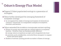 Chapter 22 Energy In The Ecosystem Ppt Download