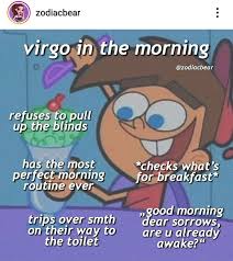 Virgo Memes Virgo Horoscope Virgo Memes Virgo