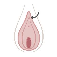 Try it on your underarms, privates, feet, between the cheeks, and wherever else you need it. Vagina Parts A Diagram And Guide Of Female Anatomy