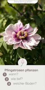Pin Auf Bad Mein Garten