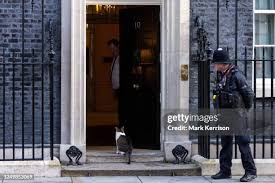 1,060 Larry Well Stock Photos, High-Res Pictures, and Images