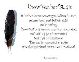 Birds Of A Feather Saying Crow Feather Meaning Google Search Crow Feather Feather Magic Feather Meaning