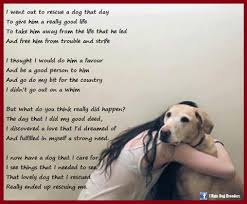During the process of euthanasia, your vet will first give them a strong painkiller, followed by a gentle medication. Good Quotes About Dogs Dying Quotesgram