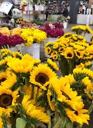 10 אנשי קשר עבור palm beach wholesale flowers and supplies. Visiting The Los Angeles Flower Market Life In Wanderlust