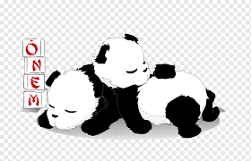 Cute red panda coloring pages. Giant Panda Red Panda Coloring Book Bear Cuteness Bear Mammal Child Animals Png Pngwing