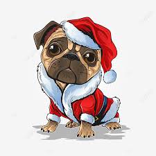 The comic misadventures of a tidy, refined cat and a goofy, uncouth dog joined at the abdomen. Christmas Pug Dog Wearing Santa Claus Costume Animation Clipart Animal Background Png And Vector With Transparent Background For Free Download