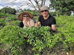 Baja organik adalah sejenis baja yang berguna untuk menyuburkan tanah dan tanaman. Baja Ddr Tingkat Hasil Pertanian