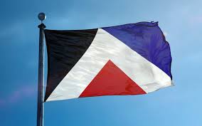 Image result for nz flag referendum