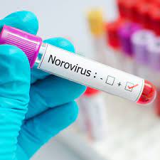 Feb 05, 2020 · norovirus infection is highly contagious, and anyone can become infected more than once. Norovirus A Summer Outbreak Could Lead To A Winter Crisis