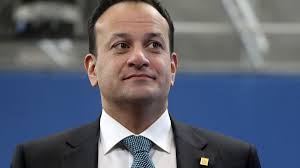 Conservationists slam Malta over bird hunting during COVID-19 lockdown