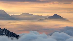 Find another word for peak. Peak Management Arvato Supply Chain Solutions
