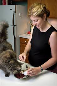 What is the best litter box for large cats? Cdc Toxoplasmosis General Information Pregnant Women