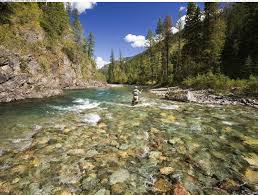 You can also upload and share your favorite fishing wallpapers. Wallpapers Hd Fishing Wallpaper Cave