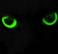 Its Glowing Eyes 1024 x 1024 png 466 кб. its glowing eyes
