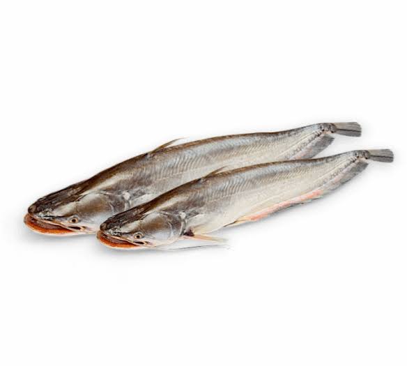 বোয়াল মাছ