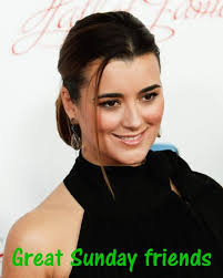 Cotedepablosworld Tillmannjean Twitter Ncis Stunning Eyes Daniela Ruah