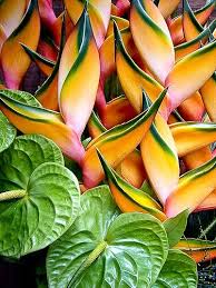 Pin On Beauty By Nature
