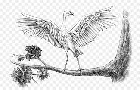 100 gambar sketsa pemandangan alam pantai gunung desa air terjun. Duck Cartoon