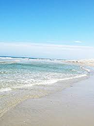 Check spelling or type a new query. Island Beach State Park A New Jersey State Park Located Near Barnegat Bayville And Beachwood