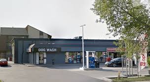 We have been hunched over the edge of our bathtub trying to do a good job while our dog stares at us with sheer misery — or desperately tries to avoid the whole. Pet Washes An Untapped Market Convenience Carwash Canada