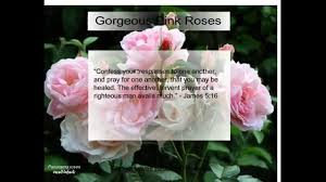 Thinking of the four horsemen of the apocalypse. Floral Bible Scriptures Youtube