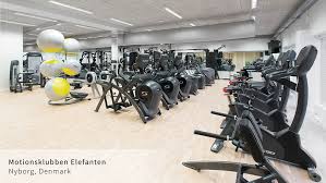Cybex International Exercise Equipment Commercial Fitness Cybex No Equipment Workout
