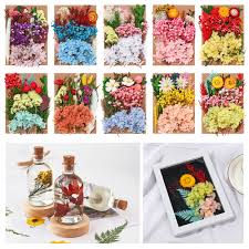 Maybe you would like to learn more about one of these? Diy Natural Dried Flowers Expoxy Resin Mold Fillings Nail Art Pressed Flowers Manual Plant Painting Craft Wedding Home Supplies Mega Sale C94d Goteborgsaventyrscenter