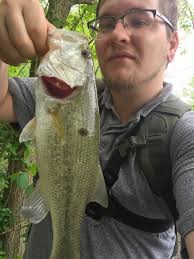 Introducing new dog to kayaking and water activities