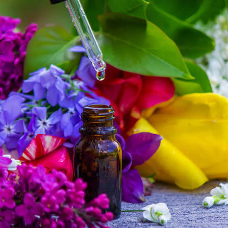 Terapia Floral