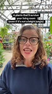 Most living rooms don’t have bright, greenhouse light — and that’s okay.  These 6 low light houseplants will actually survive it. 🌤️ Perfect for  apartments, darker corners, or rooms with north-facing ...