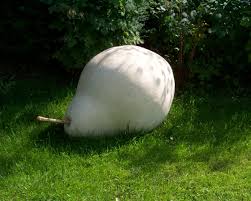 Shopping for some garden sculptures? Garden Sculptures Landscape Ornaments Features Decoration Thorverton Stone