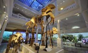 Cel mai bun exemplu care vine intru revelarea acestei idei este destituirea profesorului universitar (lucian blaga) care a refuzat conditiile impuse de. EdiÅ£ie SpecialÄ Online Cu PrezentÄri Despre Cel Mai TanÄr PÄmant Al Romaniei Si VieÅ£uitoarele Cu Sange Rece La Antipa In Cadrul Noaptea Muzeelor Stiri Pe Surse Cele Mai Noi Stiri