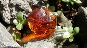 After that the fish are sorted by sex. Before They Hatch