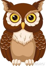 Plakat Sowa kolorowanki na wymiar • zwierzęcy, odizolowany, clipart •  REDRO.pl