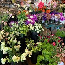9737 wellington rdg, saint paul, mn 55125. Green Florist Flower Shop In Old Town Triangle