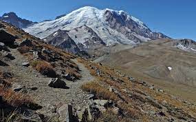 The burroughs mountain trail climbs up to 7,402 feet, making it the highest maintained from burroughs mountain you can actually hike down roughly 2,000 feet to glacier basin, continue an. Burroughs Mountain Trail Running Trail Eatonville Washington