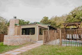 Image result for Scolopia mundii